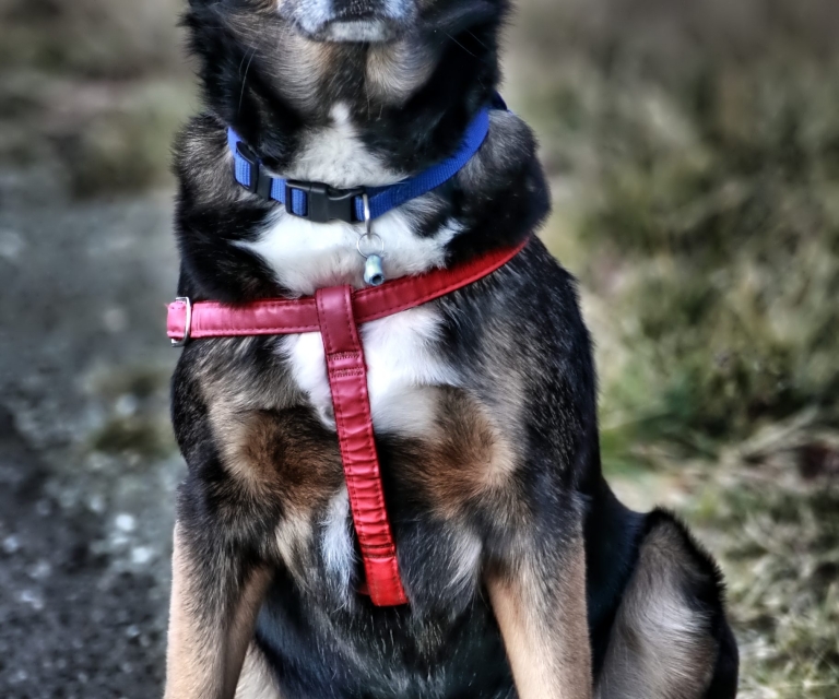 Gallery: Impressions