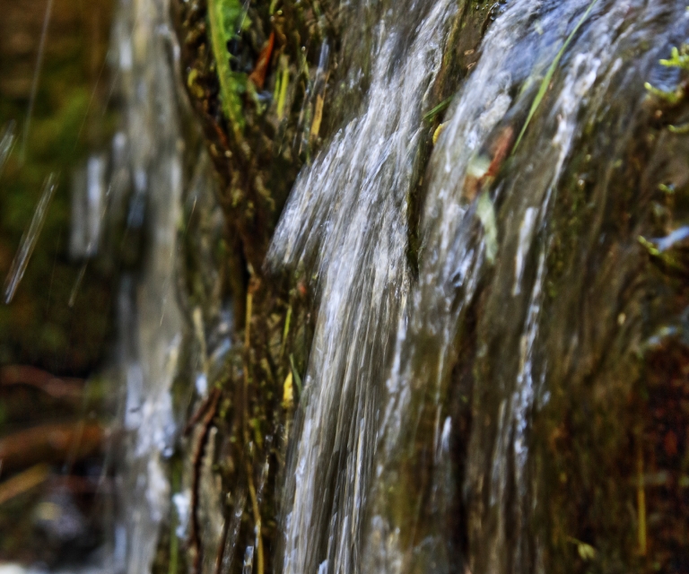 Stary Młyn - Turtul