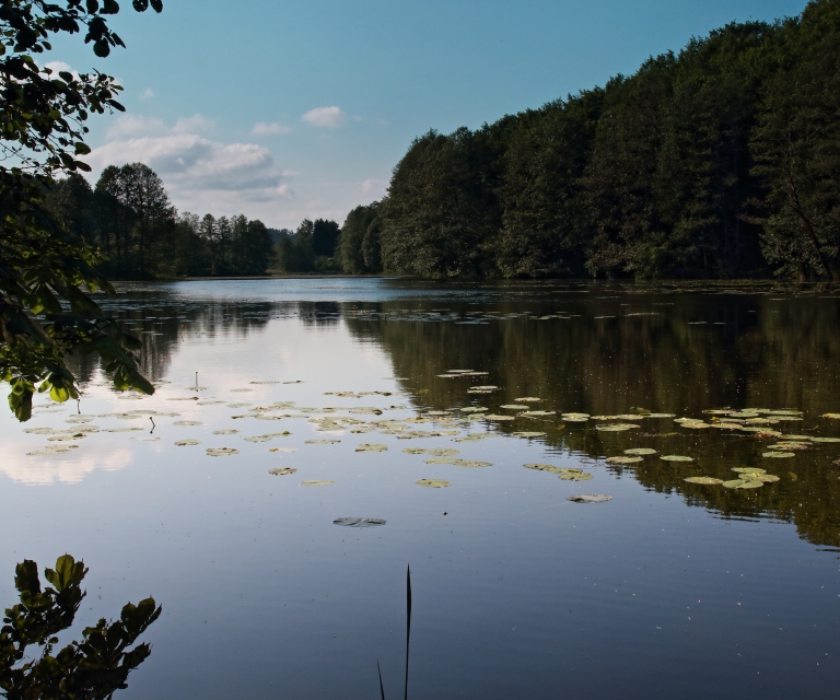 Czarna Hańcza - Turtul